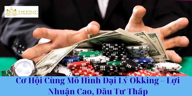 Cơ Hội Cùng Mô Hình Đại Lý Okking – Lợi Nhuận Cao, Đầu Tư Thấp